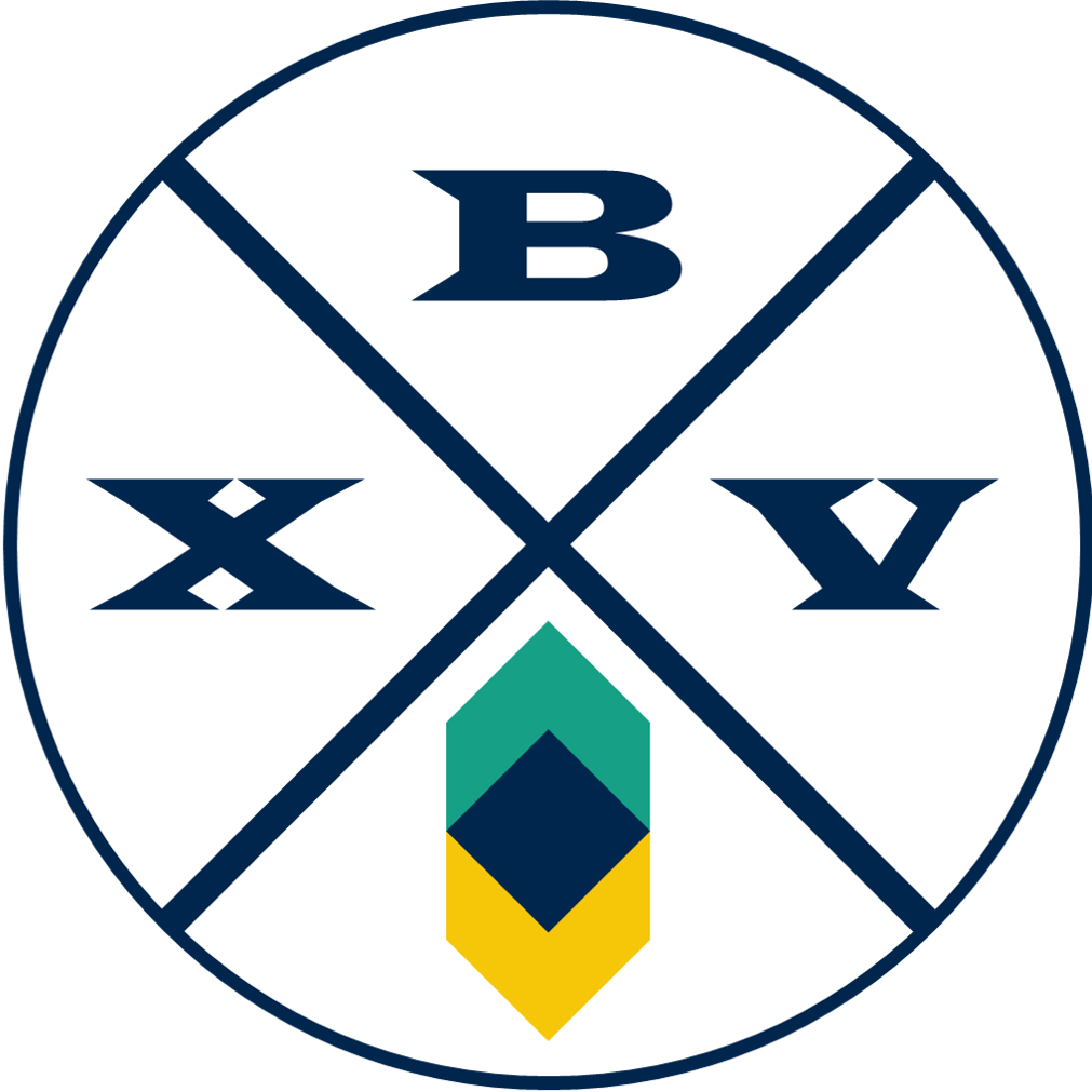 XBV – Management Consulting